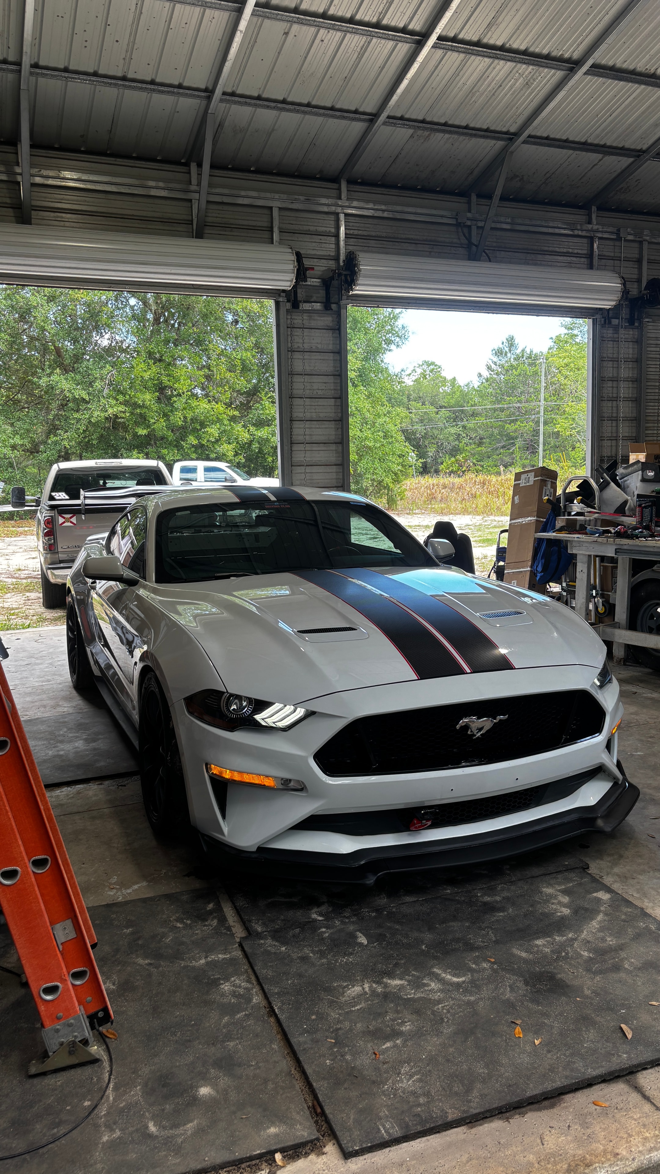 White Mustang — exterior detail