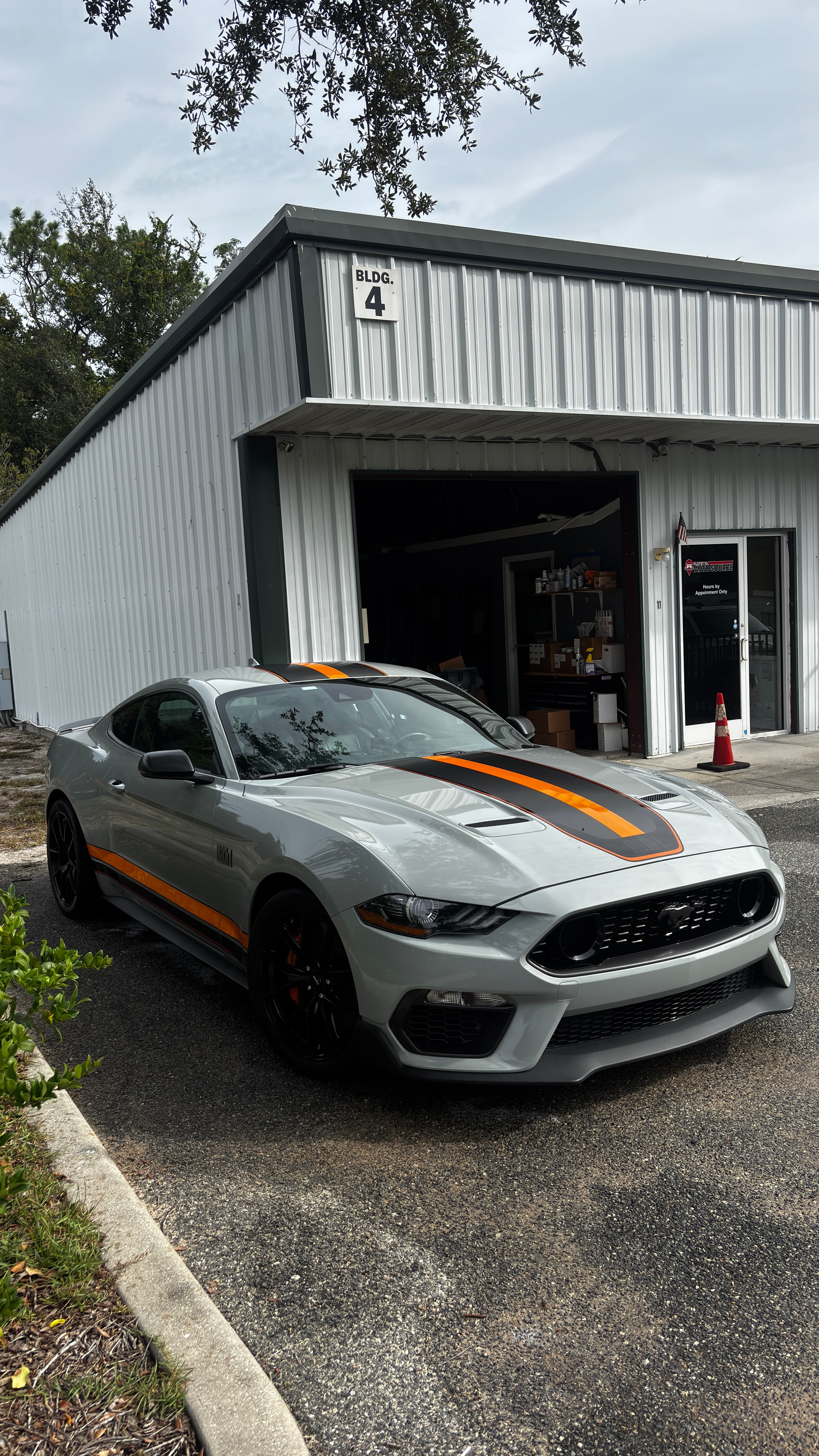 Mustang Mach 1 — exterior detail